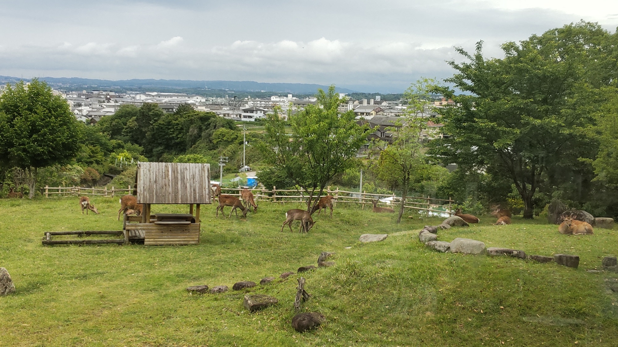 馬酔木会WEBサイトリニュアル